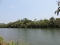 Unbeatable Riverfront Parcels in Sittee River South, Belize